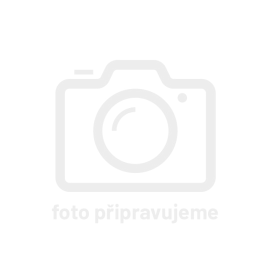 APC Smart-UPS SC 620VA 230V (390W)
