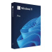 Windows Pro 11 64-bit Slovak USB