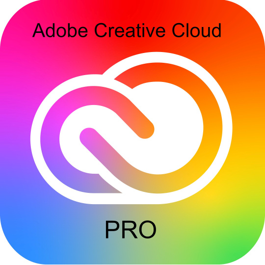 Adobe Creative Cloud Pro PLUS for teams MP ML (+CZ) Government 1 User, 12 Months, Level 2, 10-49 Lic
