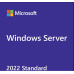 Windows Server CAL 2022 ENG 1 Clt Device CAL OEM