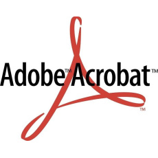 Acrobat Standard  2020 WIN ENG NEW COM Lic 1+ (360)