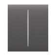 Ajax CenterButton (2-gang) - Středové dvou tlačítko, šedá