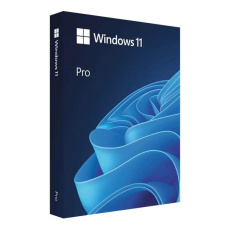 Windows Pro 11 64-bit Eng USB